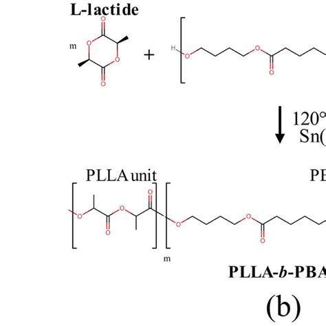 ¹h Nmr Spectra Of A Plla B Pbat And C The Pllapbat Copolymer