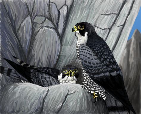 Falcon's nest by AlexisAthene on DeviantArt