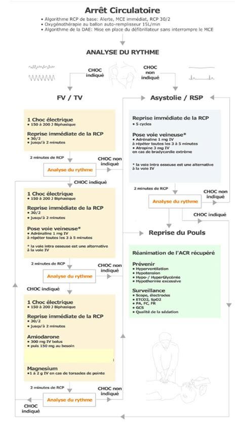 Arr T Cardio Respiratoire Au Sau Urgences Online