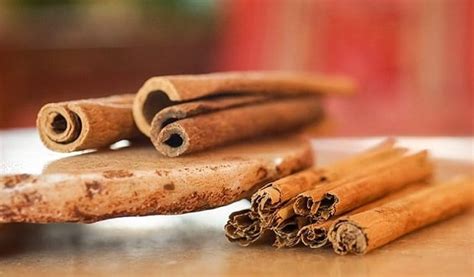 Палочки корицы: особенности использования и хранения корицы в стручках ...