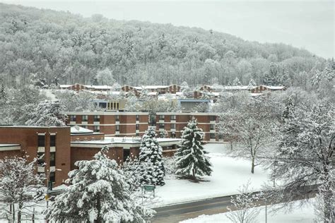 Residential Life | Binghamton University