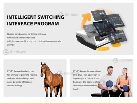 Pemf Equine And Human Pain Relief Machine Pulsed Electromagnetic Field