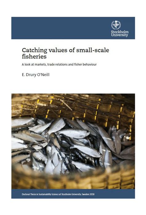 Pdf Catching Values Of Small Scale Fisheries A Look At Markets