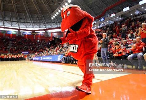 Western Kentucky Hilltoppers Mascot Photos And Premium High Res