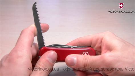 Швейцарский складной нож Victorinox EVOLUTION 2.3913.E - обзор ножей ...