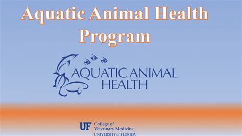 Aquatic Animal Health » College of Veterinary Medicine » University of Florida