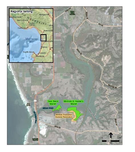 Incidental Take Authorization Tidal Marsh Restoration Project In