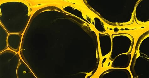 Premium Photo | Liquid art style painted in oil. texture with a ...