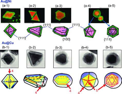 Crystal structures of a 1 À a 5 Au Ni and b 1 À b 5 Au Cu particles