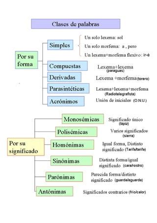 Clases De Palabras PDF