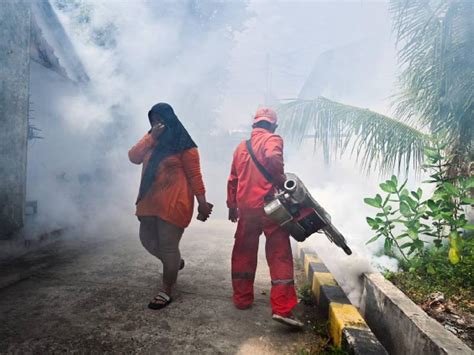 Alerta en Honduras registra más de cien muertos por dengue