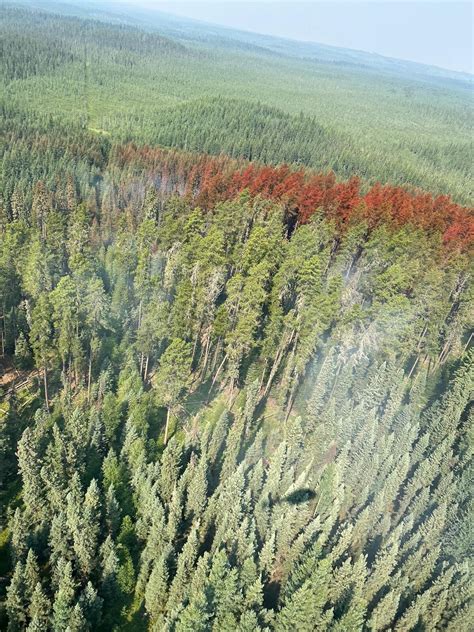 Edson Forest Area Wildfire Update July 23 2024 7 00 P M