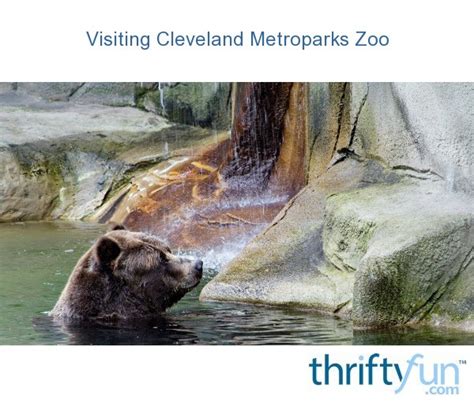 Visiting Cleveland Metroparks Zoo | ThriftyFun