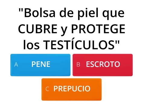 6B CUESTIONARIO SISTEMA REPRODUCTOR MASCULINO Quiz