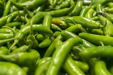 When to Pick Serrano Peppers » Pro Picking Tips