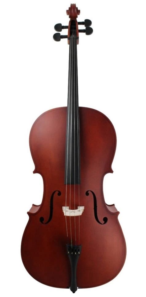 Violoncello Profesional Solid Spruce Amadeus Cellini Sala Beethoven