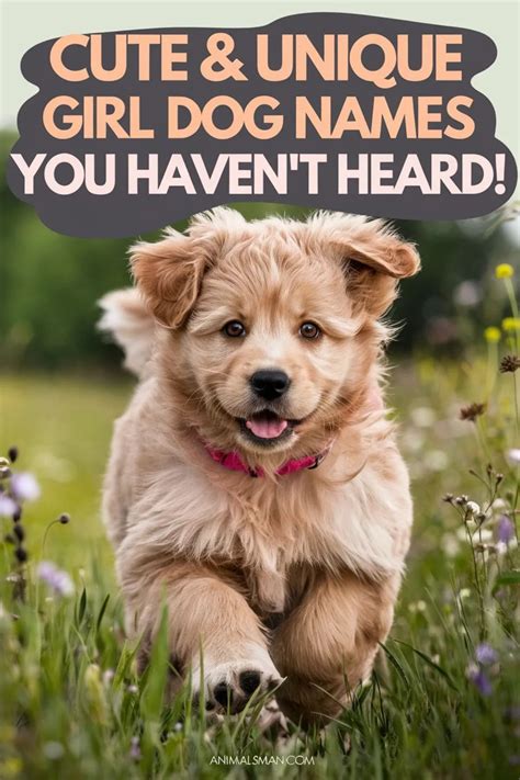 Female dog names the ultimate list for your new pup animalsman – Artofit