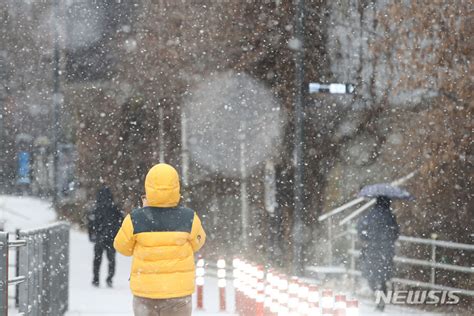 서울 대설주의보 발령 네이트 뉴스