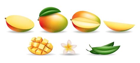 Elemen Mangga Yang Realistis Ilustrasi Stok - Unduh Gambar Sekarang - Daun, Mangga, Adiboga - iStock