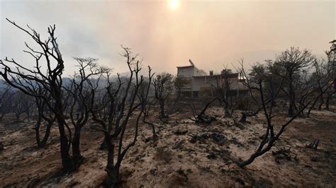 Incendios Forestales En Dos Décadas Se Quemó La Superficie De 14 Veces La Ciudad De Neuquén