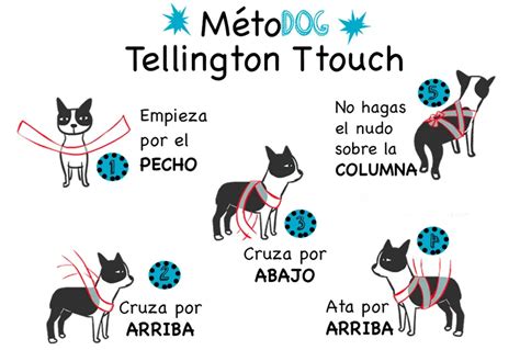 Técnicas para calmar a tu perro por los fuegos artificiales La Tercera