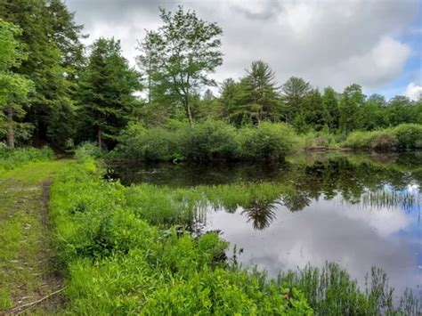 Best 10 Hikes and Trails in Quabbin Reservoir | AllTrails