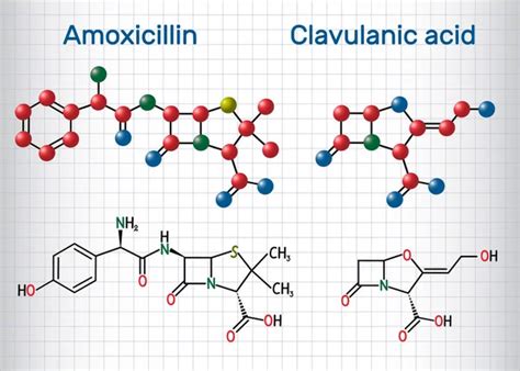 Amoxicilina Y Mol Cula De Cido Clavul Nico La Combinaci N Es Un Antibi