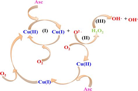 Reversible Redox Shuttle Depicting In Situ Generation Of Radical