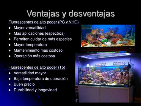 Ppt Iluminaci N Para Acuarios Plantados Y Marinos Powerpoint