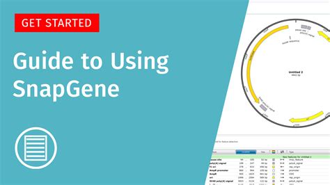 Gateway Cloning Technique Snapgene