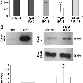 IPA 3 Effect On Cell Spreading In Human Primary Schwannoma Cells