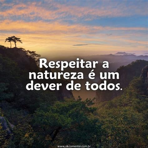 Frases Sobre Cuidar Do Meio Ambiente - 101 frases do meio ambiente que despertam consciência, cuidado e ação