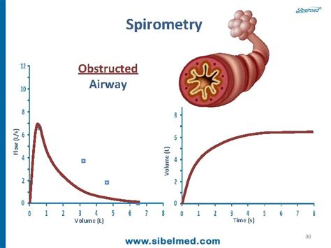 Welcome To The Spirometry Course Developed By Felip