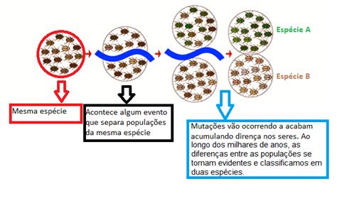 Já ouviu falar sobre a Ilha das cobras A ilha mais perigosa do mundo