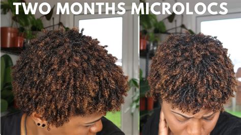 DIY MICROLOCS NO GRID TWO MONTHS UPDATE BRAIDSLOCS Naturalwoman