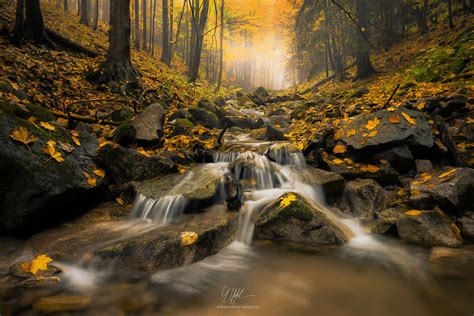 Wälder der Karpaten Landschaftsbilder Stefan Hefele Fotografie