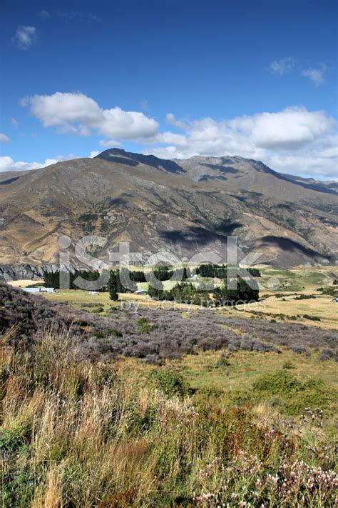 New Zealand Mountains Stock Photo | Royalty-Free | FreeImages