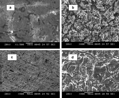 Sem Image Of A Freshly Polished Surface Of The Composite B After Download Scientific