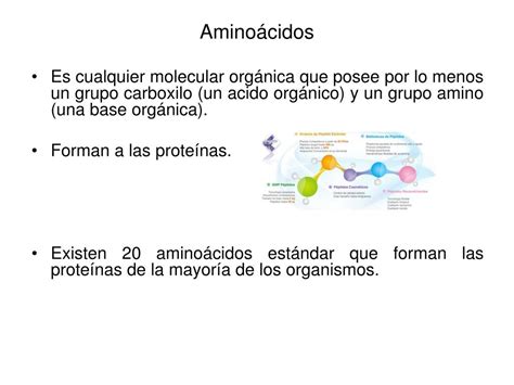 PPT Aminoácidos PowerPoint Presentation free download ID 511479