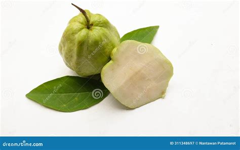 Fresh Green Raw Guava Psidium Guajava L Fruit Cut In Half Sliced