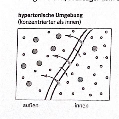 Diffusion Und Osmose Flashcards Quizlet