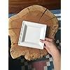 Amazon Susty Party Inch Compostable Square Plates Count