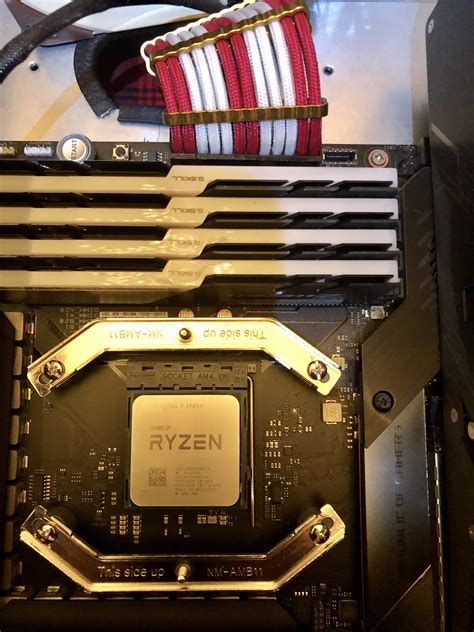 Best Gpus For Amd Ryzen In No Bottleneck Hot Sex Picture