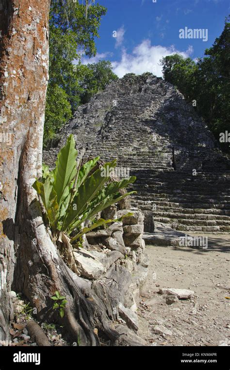 Cobá, Pyramid La Iglesia, Quintana Roo, Mexico Stock Photo - Alamy