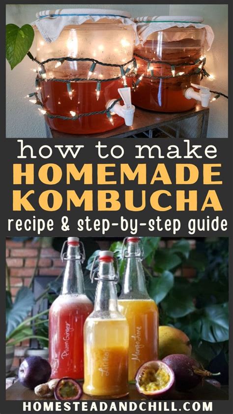 How to Make Kombucha 101: Kombucha Recipe and Brewing Basics ...