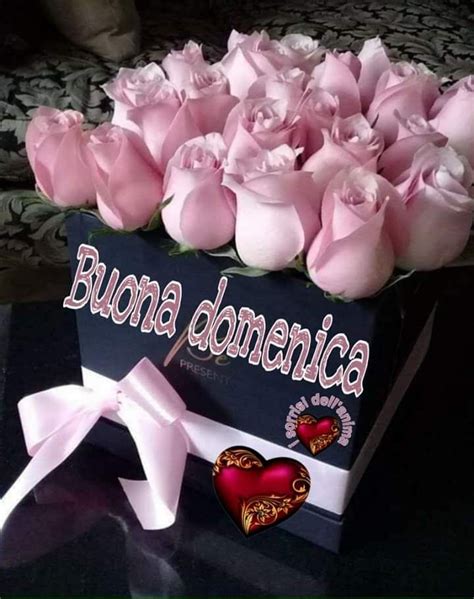 Pin Di Paler Constanta Su Jfdgj Buona Domenica Domenica Auguri Di