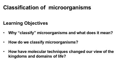 Classification Of Microorganisms Flashcards Quizlet