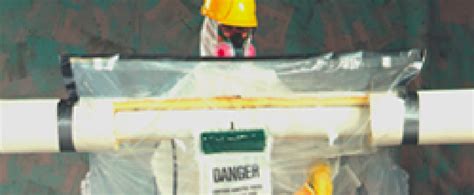 Avail® Glove Bags For Asbestos Abatement Ilc Dover