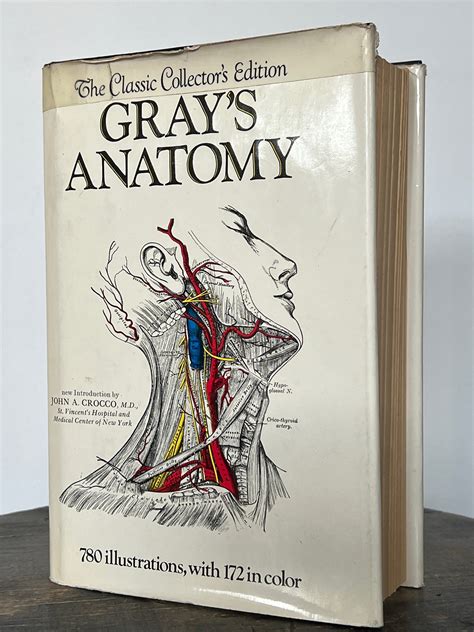 Vintage Medical Book Anatomy Of The Human Body Gray S Anatomy By