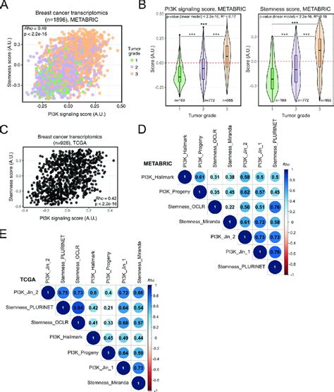 Transcriptionally Inferred PI3K Pathway Activation And Breast Tumor